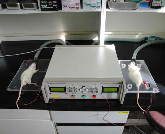 The experimental figure of using Electro-acupuncture and Laser Acupuncture System