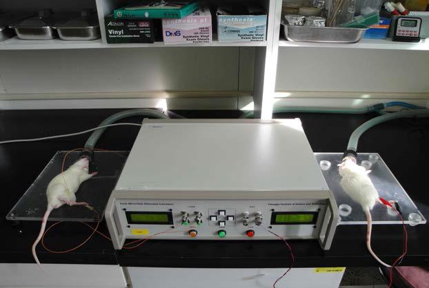 The figure of Electro-acupuncture and Laser Acupuncture System
