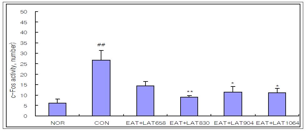 Effects of Electro-acupuncture and laser acupuncture at acupoint GB34․GB39 on the c-Fos activity in the central gran of brain of neuropathic pain rats induced by tibial and sural nerve transection