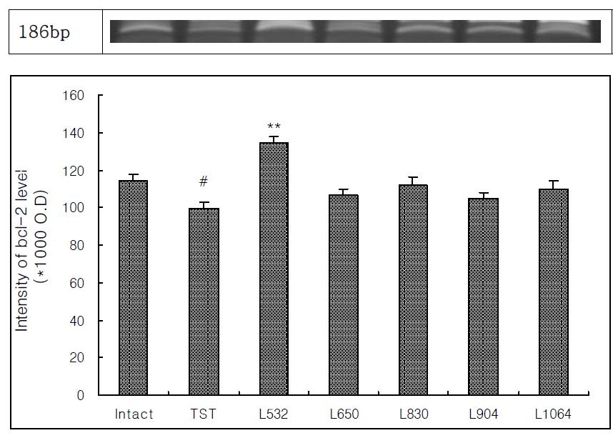 Effect of laser acupuncture treatment according to wavelength on the Bcl-2 level in pain model rat induced tibial and sural nerve transection(TST)