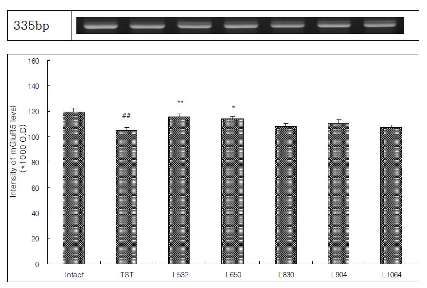 Effect of laser acupuncture treatment according to wavelength on the mGluR5 level in pain model rat induced tibial and sural nerve transection(8TST)