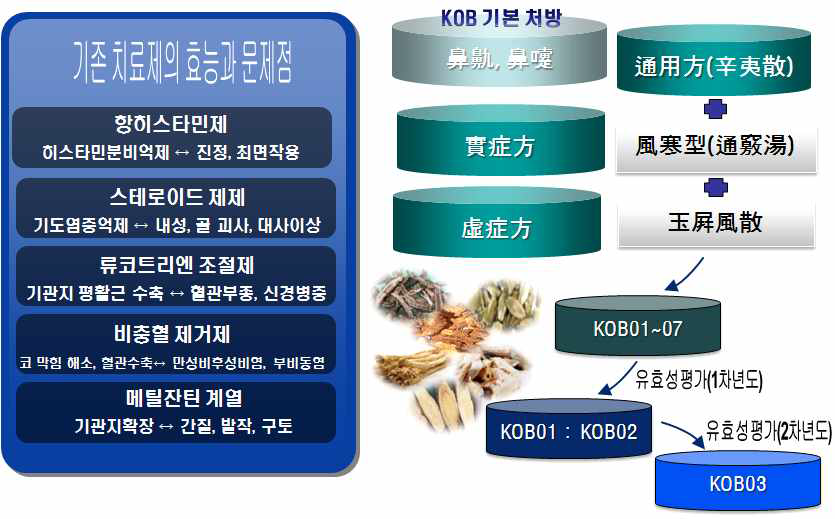 알레르기 비염 한약제제 후보약물 발굴