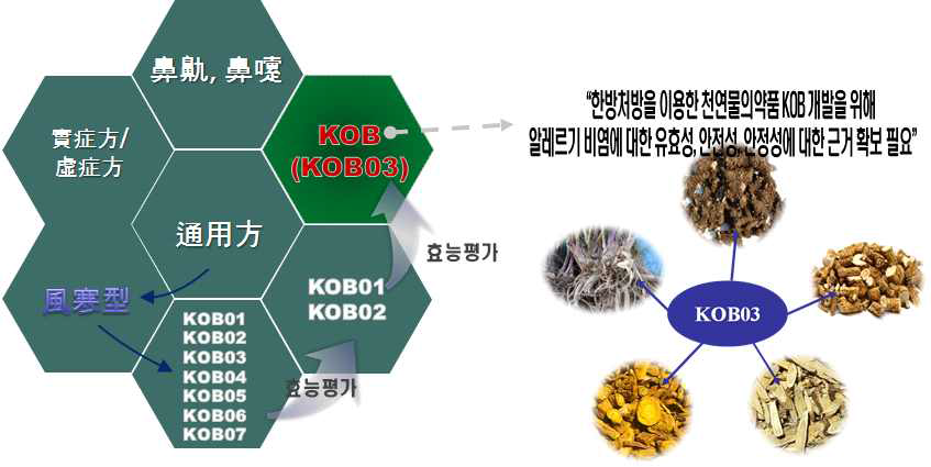 알레르기 비염 한약제제 KOB의 개발경위