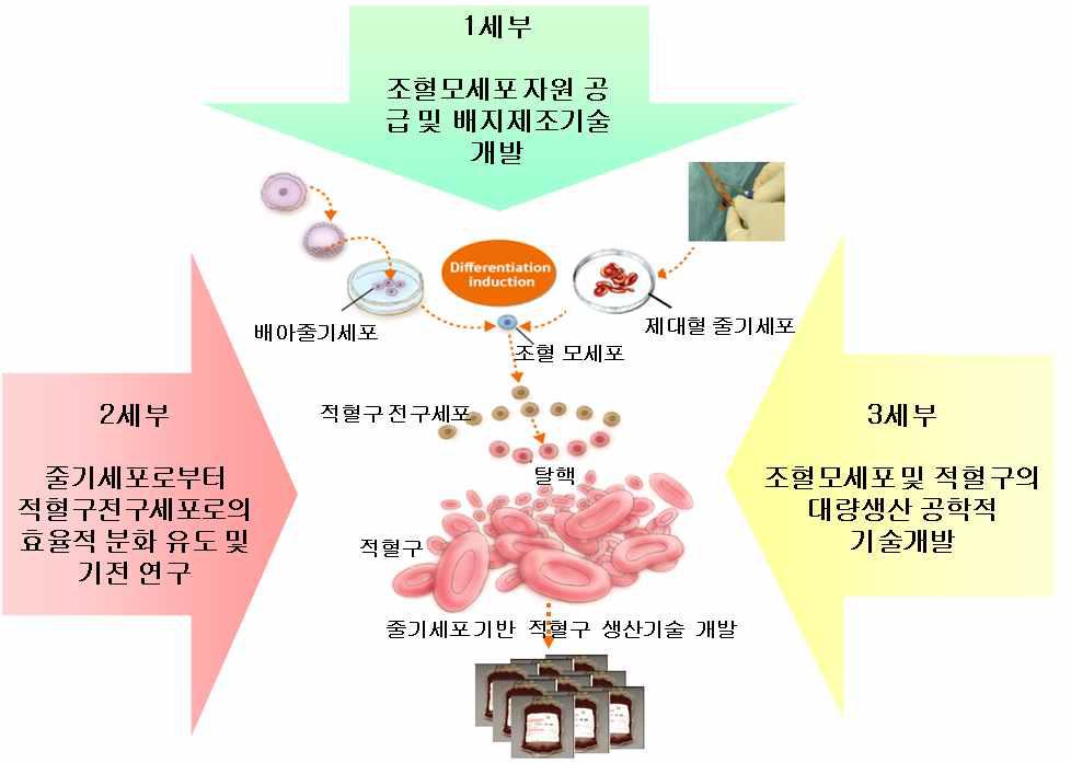 본 연구과제의 추진 전략 개요