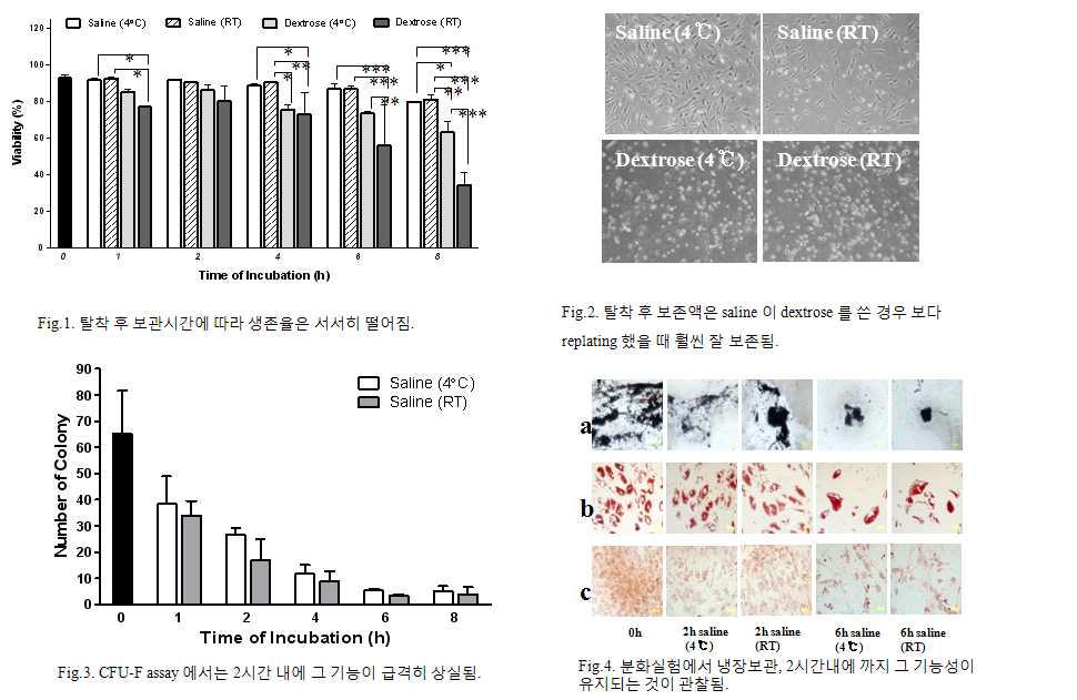 중간엽줄기세포를 배양용기에서 탈착 후 실온, 냉장보관, 보관시간(1시간, 2시간, 4시간, 8시간), 보존액(saline과 Dextrose) 에 따른 viability와 분화능 비교.