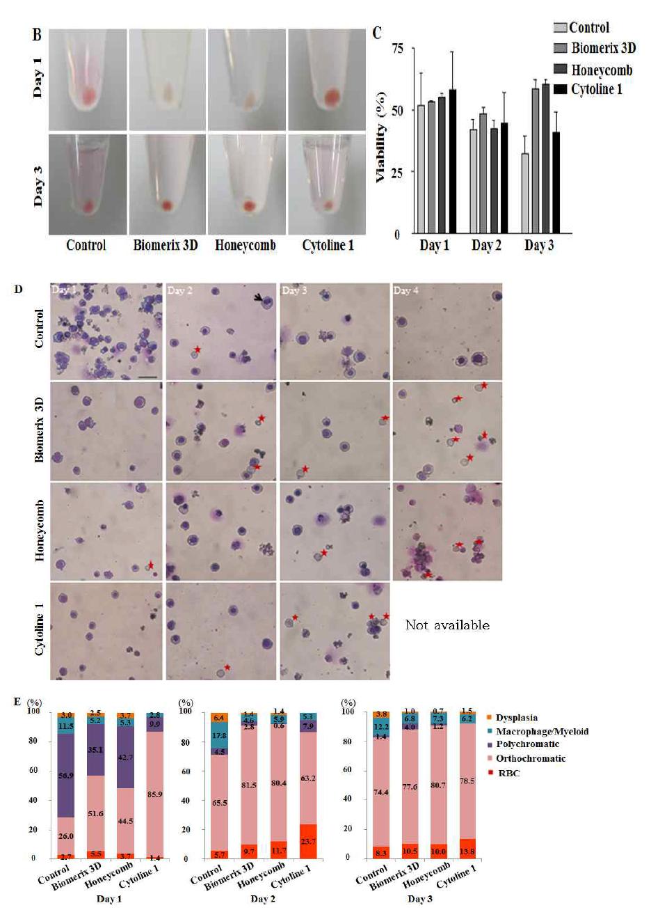 Macroporous microcarrier와 Scaffold를 이용한 세포배양 재질과 다공성이 다른 각각의 3D 다공성 구조체에 배양