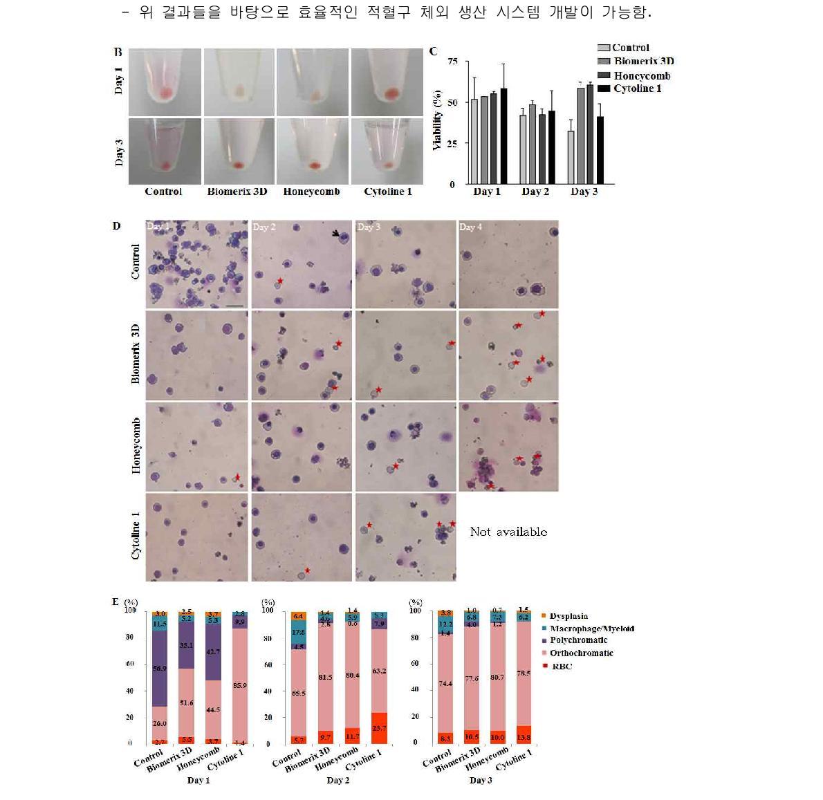 Macroporous microcarrier와 Scaffold를 이용한 세포배양