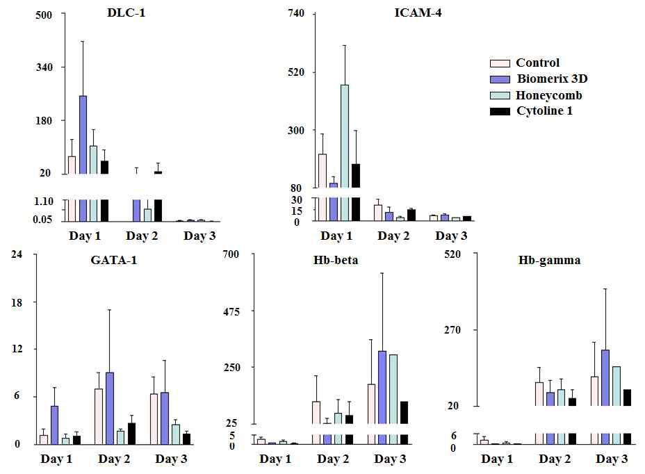 고밀도 적층 배양 (3일간) 동안 Erythropoiesis markers (ICAM-4, GATA-1, Hb-beta, Hb-gamma)와 adhesion-related signals (DLC-1, ICAM-4)을 qPCR로 확인