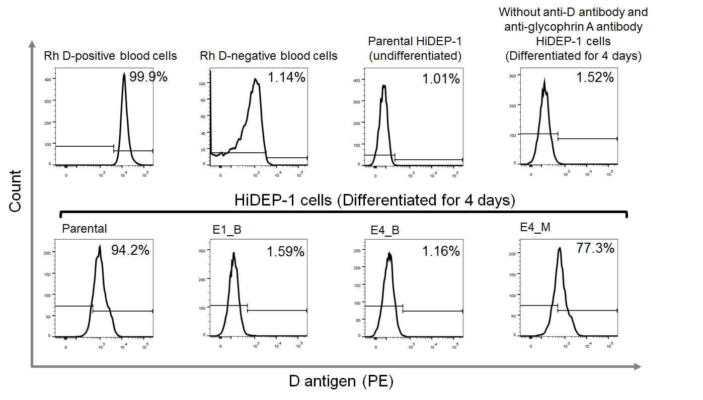 flow cytometry를 이용한 RHD 막단백질의 발현 분석