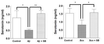 Scopolamine투여 및 아밀로이드 베타 뇌내 투여 마우스에 있어서 Serotonin의 분비량 변화 및 SB271046의 병용 투여를 통한 회복능