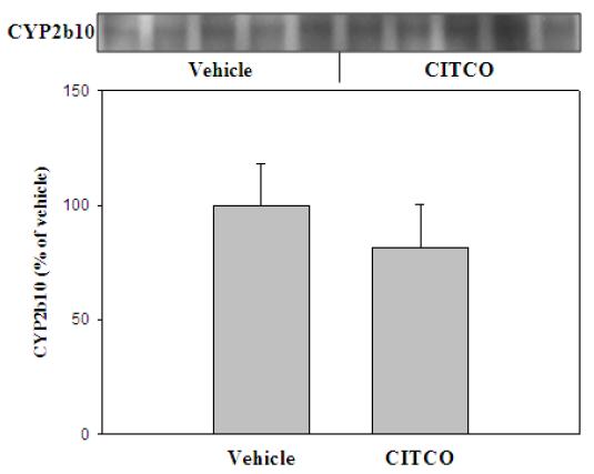 Changes in expression of CYP2b10