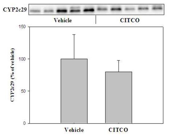 Changes in expression of CYP2c29