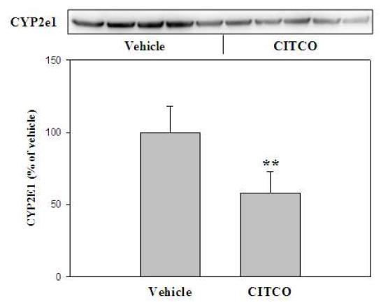 Changes in expression of CYP2e1