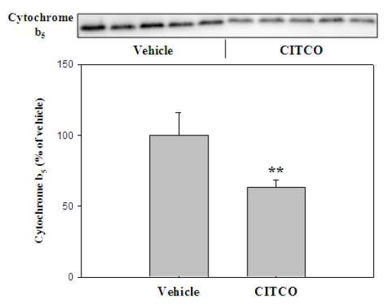 Changes in expression of cytochrome b5