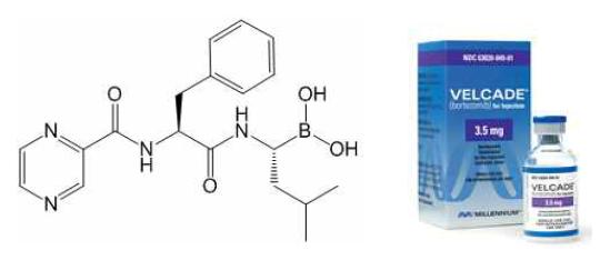 프로테좀 억제제 Bortezomib (Velcade)의 구조 (좌) 와 상용화 제품 (우)