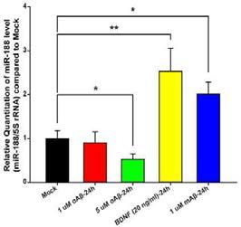 rat primary cultured hippocampal neuron에 Aβ1-42처리 후 miR-188의 발현이 감소함을 확인함