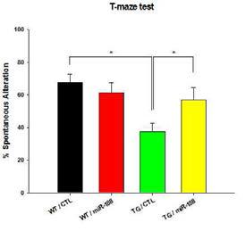 miR-188을 과발현 시킨 쥐에서 5XFAD 마우스에서 보이는 기억력 저하의 유의적인 회복을 T-maze test로 측정