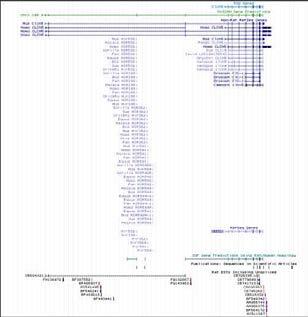 UCSC genome browser를 통해 확인한 miR-188의 gene locus