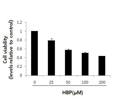 HBP의 MDA-MB 231 cell에 대한 세포 독성 효과 확인