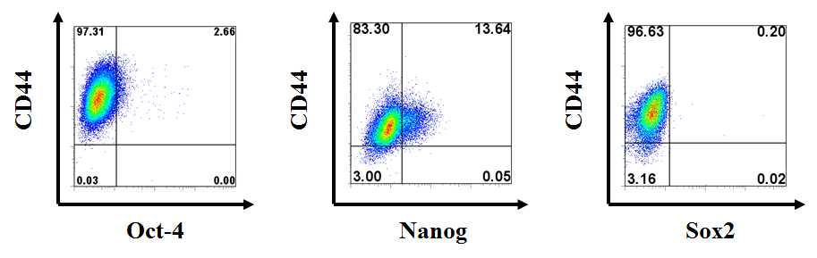 FACS 분석을 통하여 MDA-MB-231 cell에서 CD44와 Oct-4, Nanog, Sox2의 교차발현 관찰
