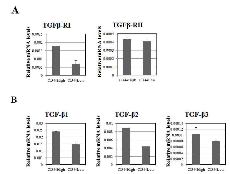 CD44High/CD44Low 세포에서 TGF-β signaling과 인자의 발현을 qRT-PCR로 분석