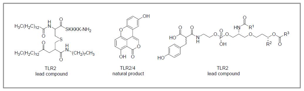 TLR2를 타겟으로 개발되고 있는 패혈증 치료용 화합물