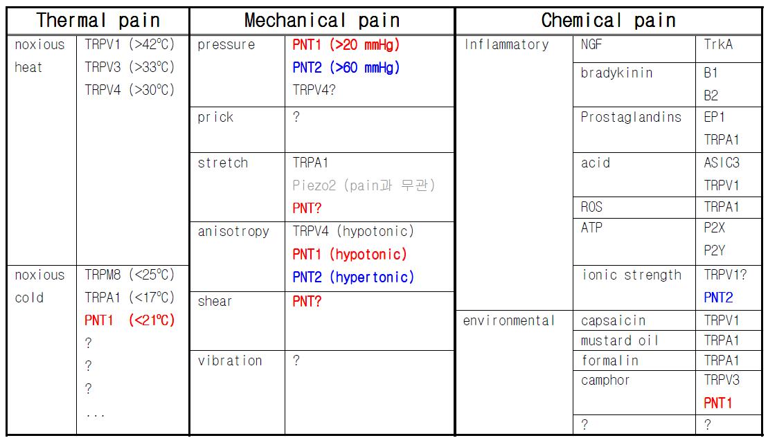 대표적인 nociceptive molecular sensor들의 list