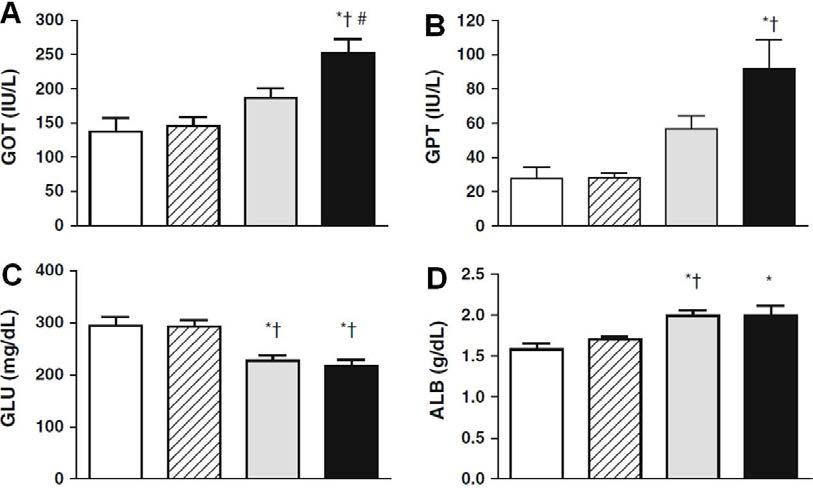 실험동물의 혈장에서 GOT, GPT, glucose (GLU), albumin (ALB) 프로파일 결과