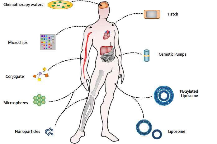 여러 종류의 캐리어를 이용한 약물전달 시스템