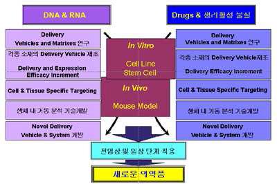 유전자전달을 통한 줄기세포치료제 개발