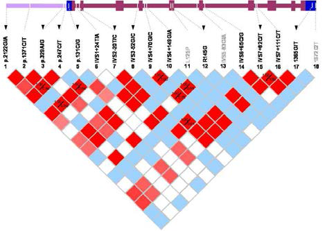 Linkage-disequilibrium (LD) structure of the CHI3L1 gene in Korean