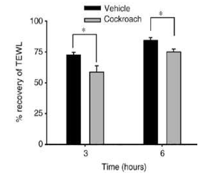 바퀴 항원 국소 도포로 인하여 epidermal permeability barrier의 회복이 지연되는 것을 관찰함