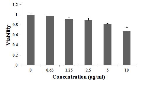 γ-PGA/MnFe2O4/PLL(PEG) 나노겔의 MTT assay 결과