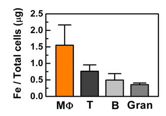 Cell sorter로 분리해낸 면역세포별 다중프로브 포획량 측정 결과