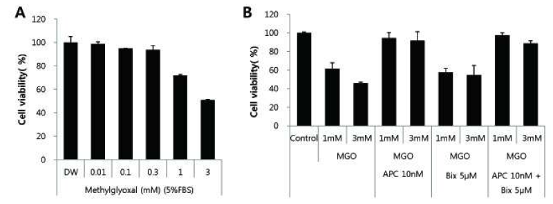 The effect of APC in MGO-induced cell death in caediomyocytes