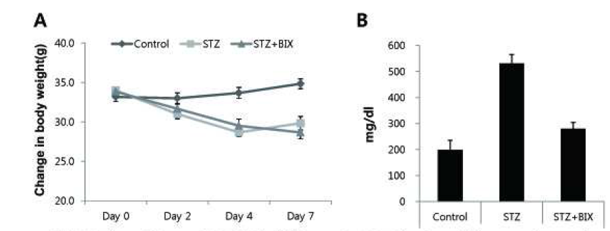 The effect of ERK5 ingibitor in STZ-induced hyperglycemia