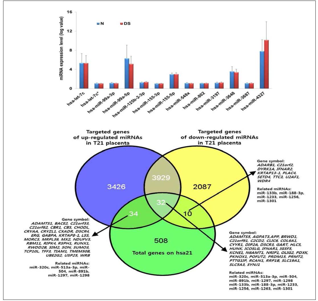 다운증후군 태반에 특이적인 microRNA 관련 연구 결과