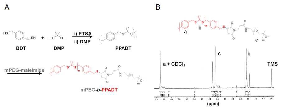 (A) mPEG-b-PPADT의 합성 전략 (B) 합성 고분자의 1H NMR 분석