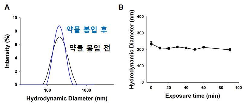 (A) DLS를 이용한 나노입자의 직경 측정결과 (B) 10% 혈청 용액에서 분산 안정성