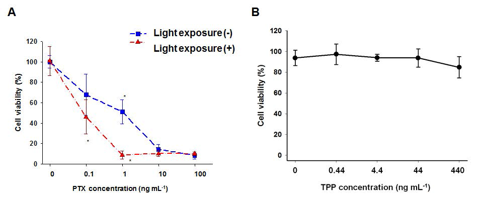 (A) 미셀 구조체의 광역학적 항암 치료 효과 (B) TPP에 의한 세포 독성 검증