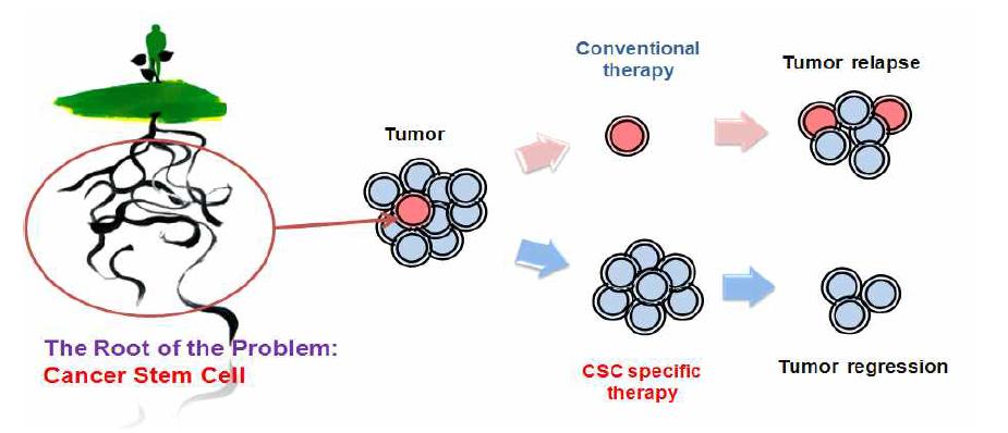 기존 치료법과 암줄기세포 표적 치료법