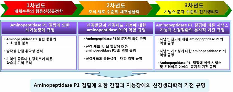 연구 추진 전략