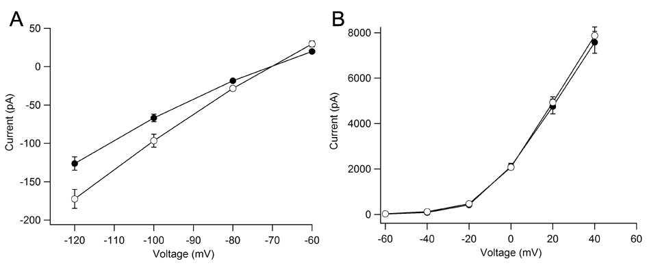 aminopeptidase p1 결핍에 의한 신경세포의 이온전류 변화