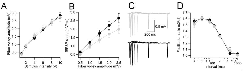 synaptic input-out ratio와 paired-pulse facilitation 측정