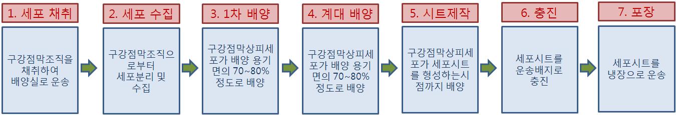 세포시트 제조공정의 Standard Operation Procedure