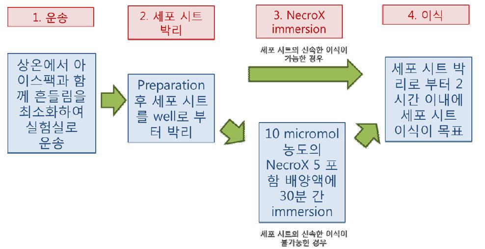 배양 구강 점막 시트의 박리 후부터 이식까지의 standard protocol