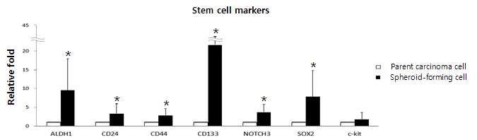 Expression of stem cell markers in spheroid-forming cells