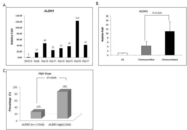 ALDH1 mRNA 발현과 항암제 내성 난소암과의 관련성