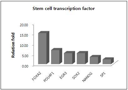 putative CSC의 Stem cell transcription factor 관련 유전자 발현 패턴