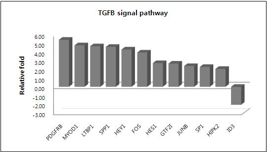 putative CSC의 TGFB signal pathway 관련 유전자 발현 패턴